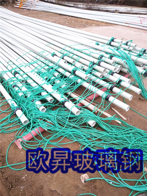 紫菜插杆现场
